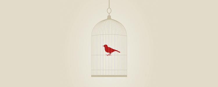 电话轰炸机网页版